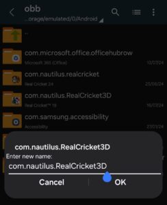 Real cricket 19 obb folder